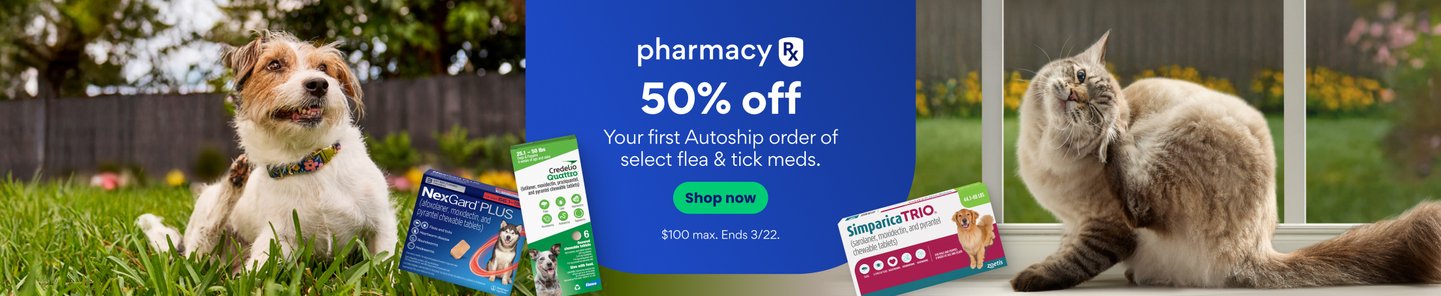 Get Up to 50% off on Medicines for Pet