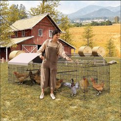 LALFPET Outdoor Metal Portable Bird Coop with Door & Window, 129.69-in