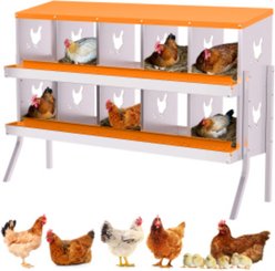 LALFPET 6/8/10 Hole Galvanized Steel Rustproof Egg Laying Chicken Nesting Boxes, Orange with Legs, 53.54-in