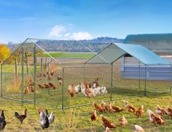 LALFPET Spire Roof Metal Bird Coop with Anti-UV Waterproof Cover, Large: 236.22-in