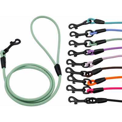 Tailr Tailr Waterproof & Odor-Resistant Rope Dog Leash, 4-ft long, 1/3-in wide, Sage Green
