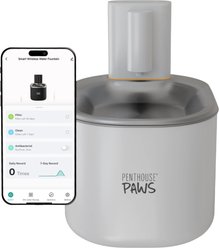 Penthouse Paws Smart Wireless Stainless Steel Dog & Cat Water Fountain, White, 118-oz slide 1 of 9