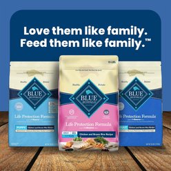 Blue Buffalo Life Protection Formula Small Breed Adult Chicken & Brown Rice Recipe Dry Dog Food, 15-lb bag slide 2 of 9