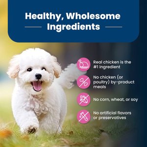 Blue Buffalo Life Protection Formula Small Breed Adult Chicken & Brown Rice Recipe Dry Dog Food, 15-lb bag