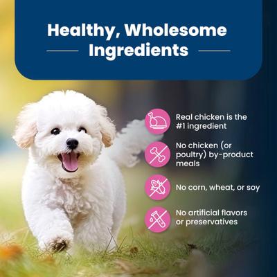 black friday wellness core dog food Wellness CORE Natural Grain Free Pure Rewards Chicken and Lamb Recipe —  Concord Pet Foods & Supplies| Delaware, Pennsylvania, New Jersey, Maryland main image 1