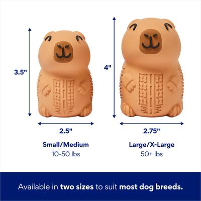 Show full view: Frisco Capybara Rubber Chew Dog Toy for Extreme Chewers, Large/X-Large slide 2 of 8