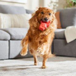 Frisco Red Panda Rubber Chew Dog Toy for Heavy Chewers, Large/X-Large slide 2 of 8