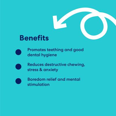 Show full view: Frisco Ice Cream Cone Rubber Chew Dog Toy for Extreme Chewers, Small/Medium slide 6 of 9