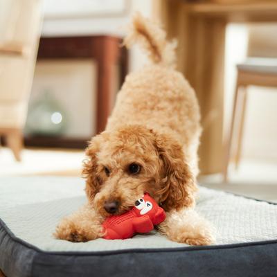 Show full view: Frisco Red Panda Rubber Chew Dog Toy for Heavy Chewers, Small/Medium slide 6 of 8