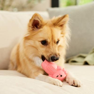 Show full view: Frisco Axolotl Rubber Chew Dog Toy for Heavy Chewers, Small/Medium slide 6 of 8