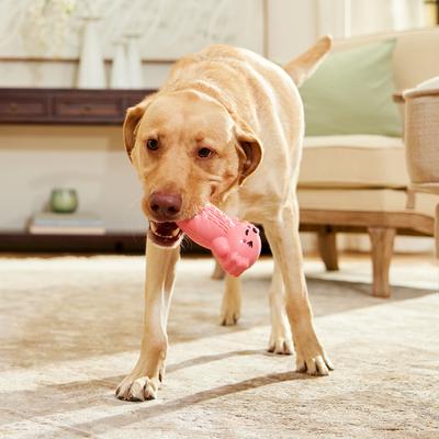 Show full view: Frisco Axolotl Rubber Chew Dog Toy for Heavy Chewers, Large/X-Large slide 6 of 8