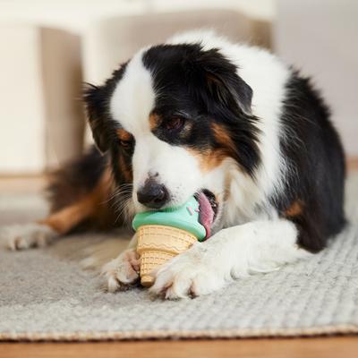 Show full view: Frisco Ice Cream Cone Rubber Chew Dog Toy for Extreme Chewers, Large/X-Large slide 6 of 8