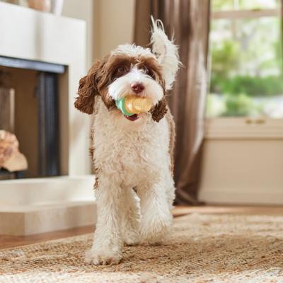 Show full view: Frisco Ice Cream Cone Rubber Chew Dog Toy for Extreme Chewers, Small/Medium slide 7 of 9