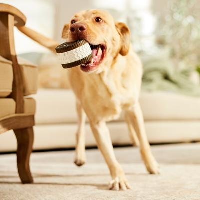 Show full view: Frisco Sandwich Cookie Rubber Chew Dog Toy for Heavy Chewers, Large/X-Large slide 6 of 8