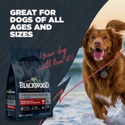 Blackwood Complete & Balanced Diet Chicken Meal with Ancient Grains & Corn Recipe All Life Stages Dry Dog Food, 24-lb bag slide 2 of 8