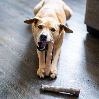 Show full view: Pupstages Dogwood Calming Bone Tough Dog Chew Toy, 2 count, Medium slide 8 of 12