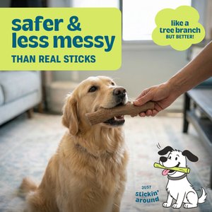 Pupstages Dogwood Stick Tough Dog Chew Toy, Large