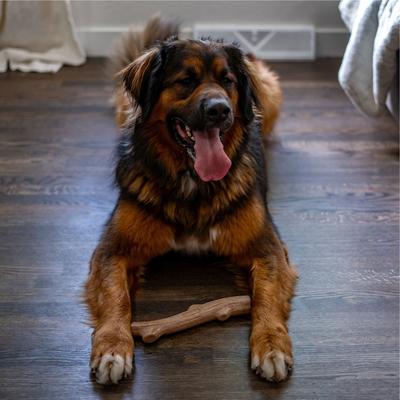 Show full view: Pupstages Super Dogwood Stick Tough Dog Chew Toy, Large slide 7 of 10