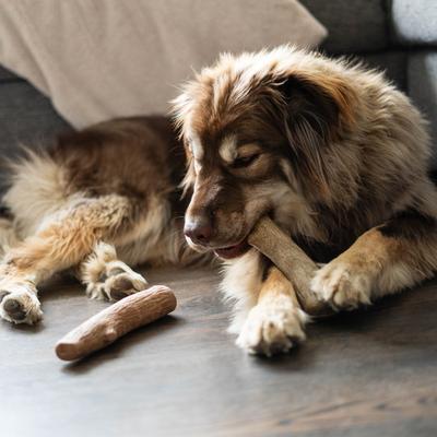 Show full view: Pupstages Dogwood Calming Bone Tough Dog Chew Toy, 2 count, Large slide 6 of 10