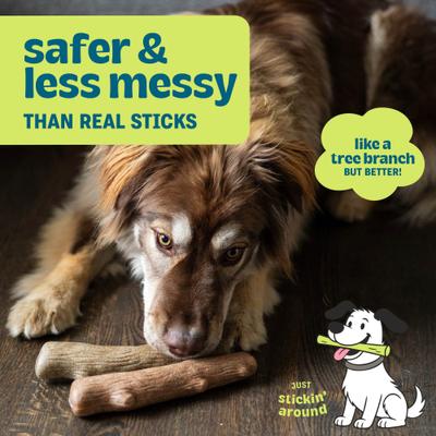 Show full view: Pupstages Dogwood Calming Bone Tough Dog Chew Toy, 2 count, Large slide 3 of 10