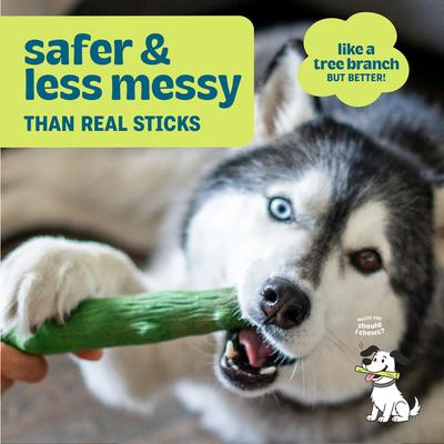 Show full view: Pupstages Dogwood Mint Bone Tough Dog Chew Toy, Large, 2 count slide 3 of 11