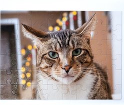 Aether Puzzles Personalized 48 Piece Puzzle