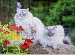 Aether Puzzles Personalized 500 Piece Puzzle