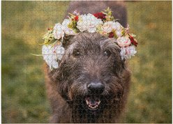 Aether Puzzles Personalized 1000 Piece Puzzle