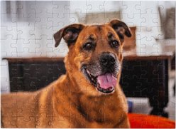 Aether Puzzles Personalized 100 Piece Puzzle
