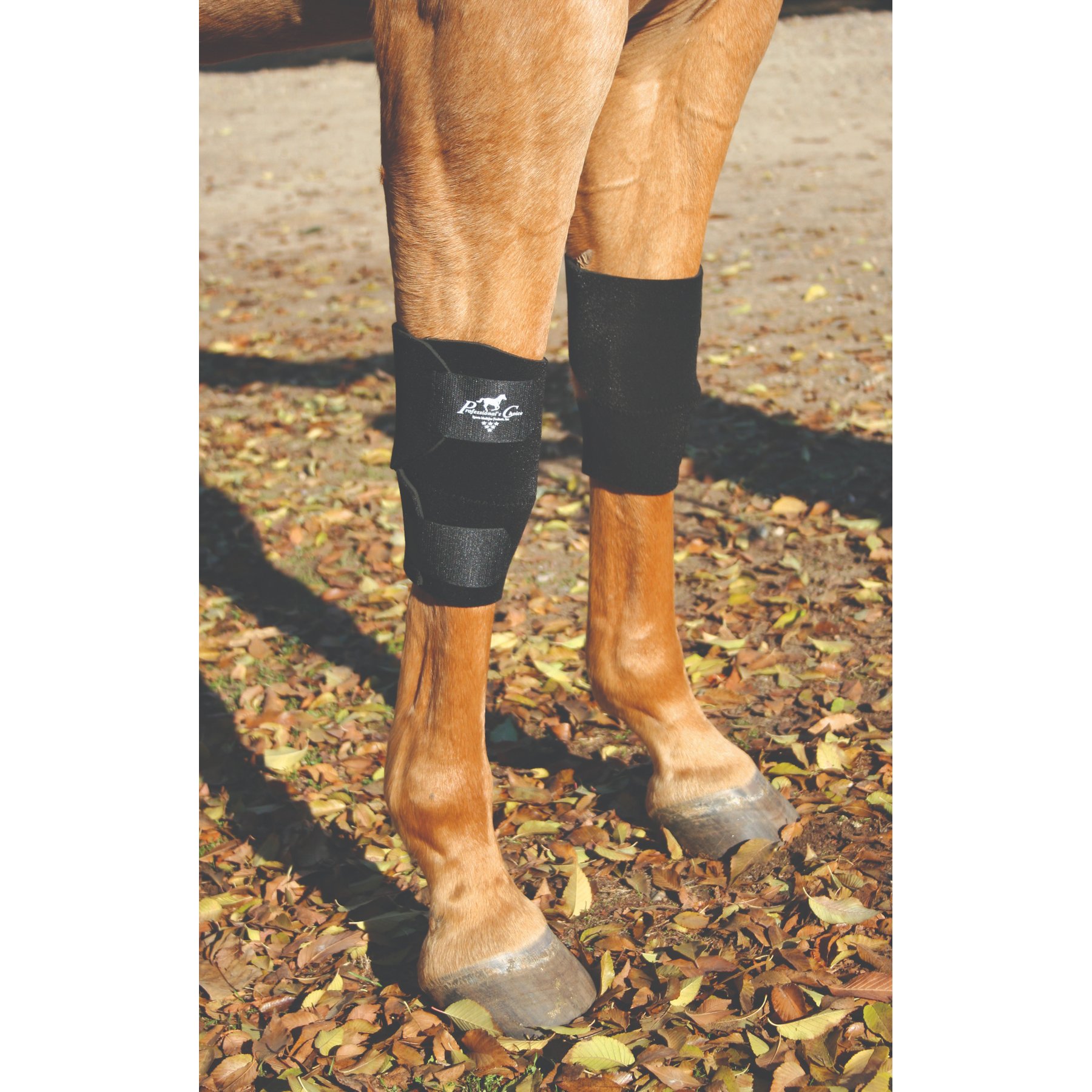 Professional's Choice Knee Horse Boots, Black, Universal, 2 count