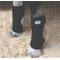 Show in main carousel: Professional's Choice Bed Sore Horse Boots, Black, 2 count slide 1 of 1