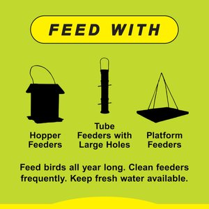 Wild Delight Deck, Porch N' Patio Wild Bird Food, 20-lb bag