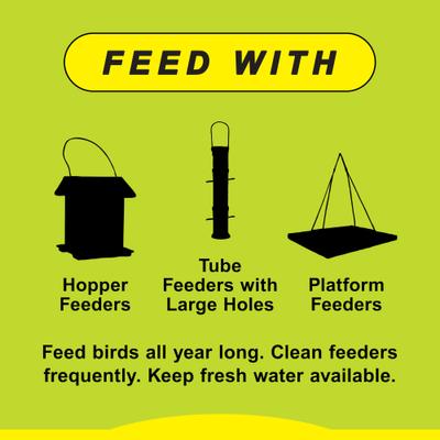 Show full view: Wild Delight Deck, Porch N' Patio Wild Bird Food, 20-lb bag slide 9 of 10