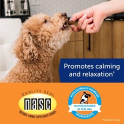 ThunderBites Melatonin Calming Chewys for Dogs, 60 count slide 2 of 7