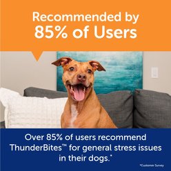 ThunderBites Melatonin Calming Chewys for Dogs, 60 count slide 2 of 8