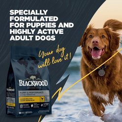 Blackwood Puppy Performance, Growing & Working Chicken Meal with Ancient Grain Recipe Dry Dog Food, 24-lb bag slide 2 of 8