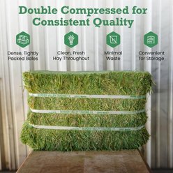 Border Valley Trading Orchard Grass Bale Hay Horse Feed, 50-lb bag slide 2 of 6