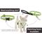 Show in main carousel: LupinePet Reflective Diamonds Small Dog & Cat Padded Handle Leash, Green Diamond, Regular: 4-ft long, 1/2-in wide slide 6 of 7