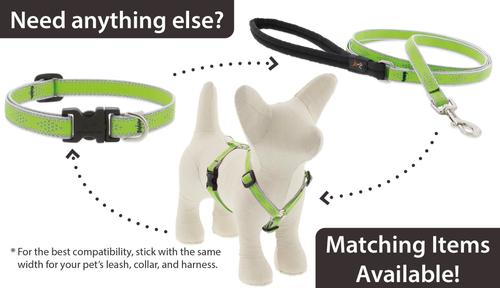 Show full view: LupinePet Reflective Diamonds Small Dog & Cat Padded Handle Leash, Green Diamond, Regular: 4-ft long, 1/2-in wide slide 6 of 7