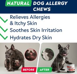 StrellaLab Allergy Relief & Anti Itch Relief with Omega 3 Skin & Coat Fish Oil Chew Supplement for Dogs, 120 count slide 2 of 7