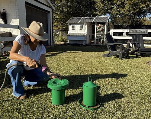 Show full view: Zylina Powder Coated Green Metal Chicken Waterer, Feeder & Scoop Combo Pack, 1-gal, 9-lb slide 5 of 9