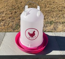 Zylina Chicken Waterer, Fuchsia, 3.7-gal slide 2 of 8