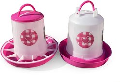 Zylina Chicken Waterer & Feeder Combo, Fuchsia, 1.5-gal, 13-lb