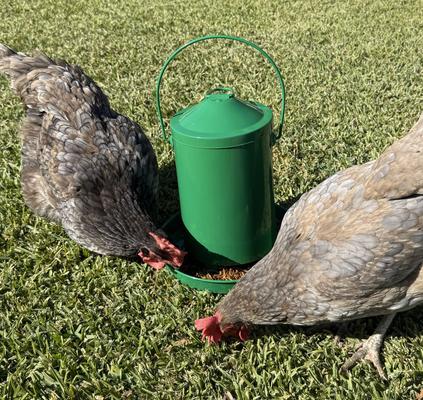Show full view: Zylina Powder Coated Green Metal Chicken Waterer, Feeder & Scoop Combo Pack, 1-gal, 9-lb slide 9 of 9