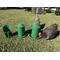 Show in main carousel: Zylina Powder Coated Green Metal Chicken Waterer, Feeder & Scoop Combo Pack, 1-gal, 9-lb slide 4 of 9