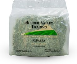 Border Valley Trading Alfalfa Bale Hay Horse Feed, 50-lb bag