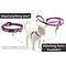 Show in main carousel: LupinePet Nature Inspired Original Design Rose Garden Breakaway Buckle Safety Cat Collar with Bell, One Size: 8 to 12 in, 1/2-in wide slide 5 of 6