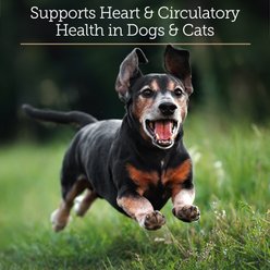 Rx Vitamins CoQ10 30 Softgels Heart Supplement for Cats & Dogs, 30 count slide 2 of 8