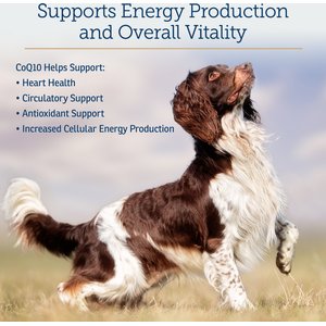 Rx Vitamins CoQ10 30 Softgels Heart Supplement for Cats & Dogs, 30 count