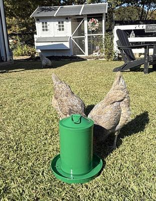 Show full view: Zylina Powder Coated Metal Chicken Waterer, Green, 1-gal slide 5 of 8